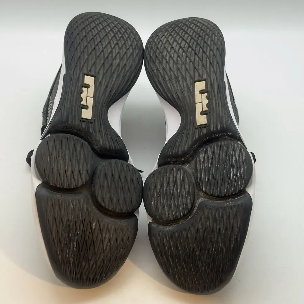 Nike lebron witness